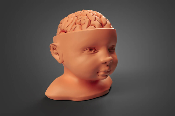 Lehmmodell des Kopfes und Gehirns des Kindes. Konzeptionelle 3D-Illustration, die in vielen Bereichen der Wissenschaft und Medizin eingesetzt werden kann - Foto, Bild
