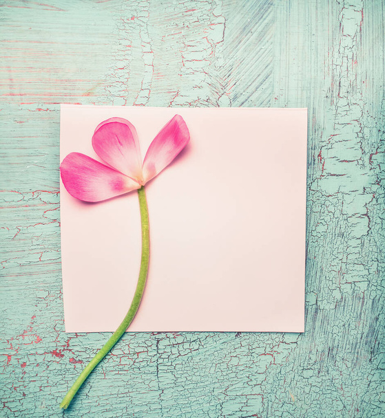 Lovely pink flowers on white blank paper card and turquoise shabby chic background, top view. Mother's Day or Birthday concept - Foto, Imagen