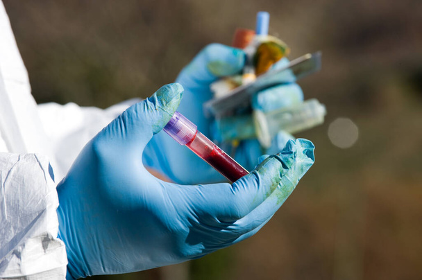 κτηνίατρος εκτελεί δείγματα αίματος σε ζώα για έρευνα του ιού - Φωτογραφία, εικόνα