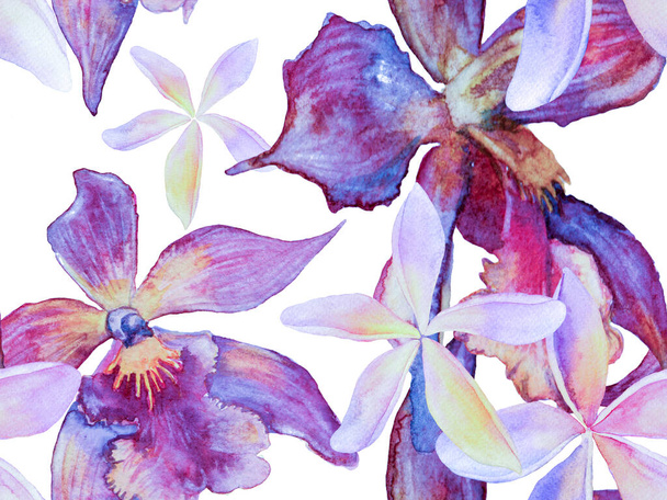 Orchid Seamless Pattern. - Fotografie, Obrázek