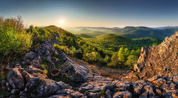 Panorama of forest and mountain in Carpathian with sun, Slovakia - Фото, изображение