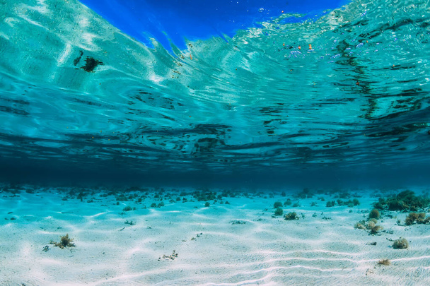 Tropikalny turkusowy ocean z piaszczystym dnem pod wodą na wyspach Bahama - Zdjęcie, obraz