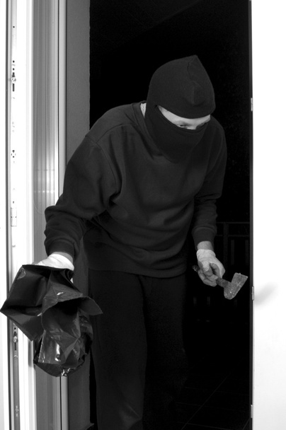 집에 도둑злодій в домашніх умовах
 - Фото, зображення