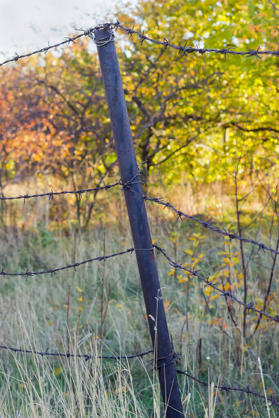 Fragmento de la antigua cerca consistente en poste de hierro oxidado y varias filas de alambre de púas estiradas sobre un fondo borroso
 - Foto, imagen