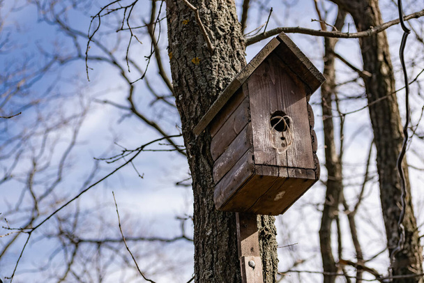 A wooden birdhouse, built with your own hands and painted with colored paint, hangs attached to a tree without leaves. Spring training for settling and breeding birds in a house with a round window - Foto, Bild