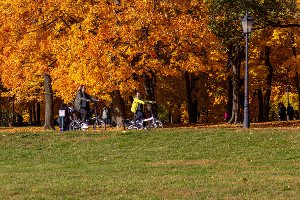 11.10.2018, Μόσχα, Ρωσία. Μαμά και γιος οδηγούν ποδήλατα στο πάρκο της Μόσχας το φθινόπωρο. Ενεργός τρόπος ζωής της οικογένειας. - Φωτογραφία, εικόνα