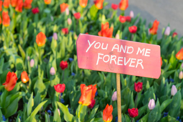 Sinal cor-de-rosa numa cama de tulipas vermelhas a dizer 'tu e eu para sempre'
 - Foto, Imagem