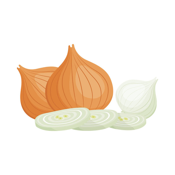 Мультфильм белый лук луковицы целые и нарезанные
 - Вектор,изображение