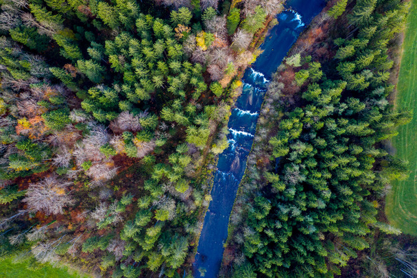 vista superior del bosque de otoño y un pequeño río que fluye a través del bosque
 - Foto, Imagen