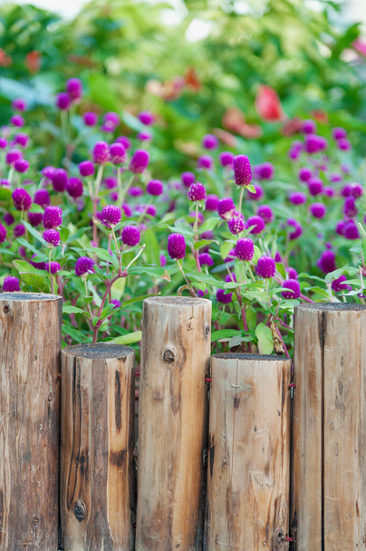 Деревянный забор во дворе цветочный сад
 - Фото, изображение
