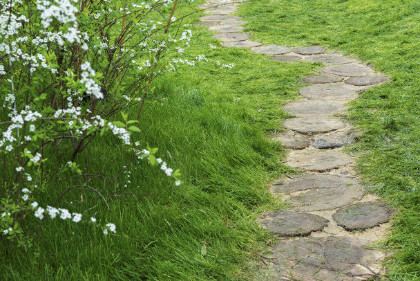Path in Ornate Flower Garden. Natural background - Φωτογραφία, εικόνα
