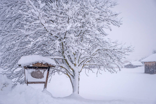 Téli táj Neustift városában, az ausztriai Stubai völgyben. Havas fák nagy hóesés után - Fotó, kép