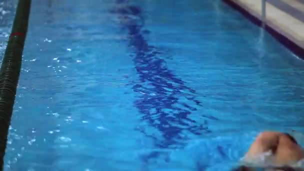 Swimmer swims away from the camera - Footage, Video