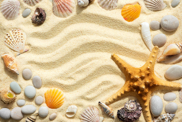 Frame from shells on sandy beach. Summer background. Top view. Copy space - Φωτογραφία, εικόνα