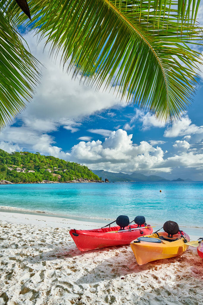 Belle plage de Petite Anse avec kayaks et palmiers aux Seychelles, Mahe
 - Photo, image