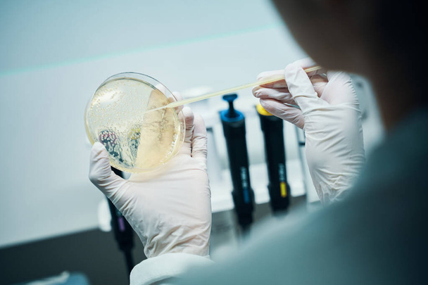 Técnico de laboratório fêmea segurando amostra de teste na placa de Petri em laboratório, close-up
 - Foto, Imagem