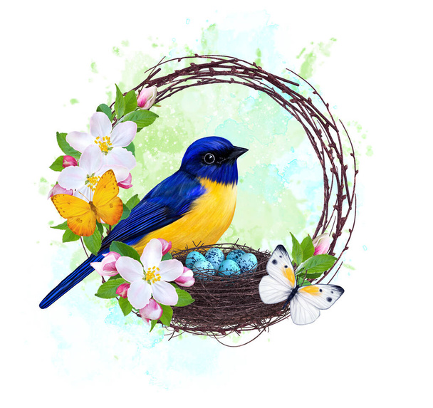 bird tit sits near a nest with eggs, spring blossoming , pink apple tree flowers weaving from branches, yellow butterfly, Easter background - Photo, image