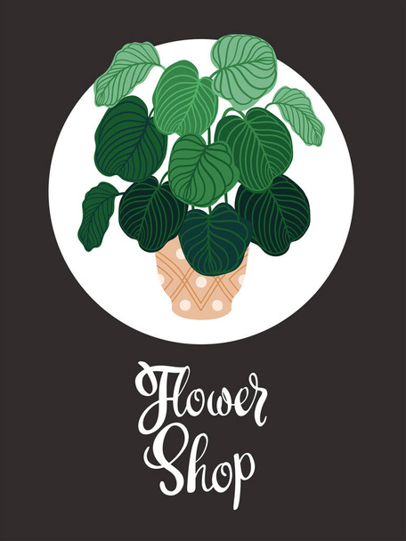 Potted plants flat postcard template. Foliage houseplants, exotic flora in round frame. Realistic indoor flowers, green ficus, palm leaves illustration. Flower shop poster with calligraphy - Διάνυσμα, εικόνα