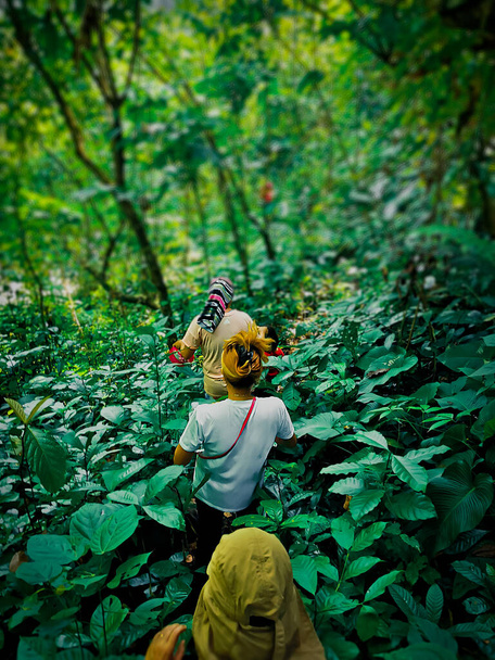 Photo montrant un groupe de randonneurs allant dans la jungle - Photo, image