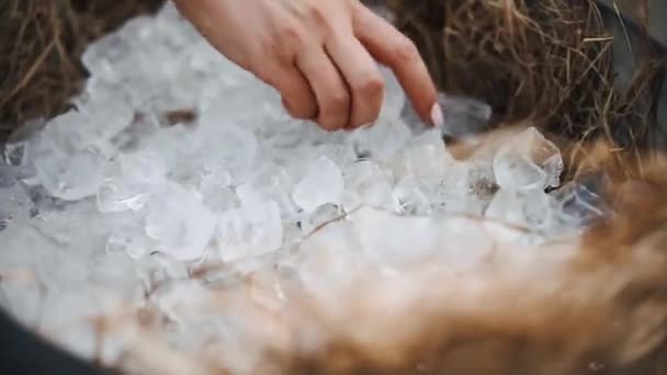 Girl lays out ice for drinks - Footage, Video