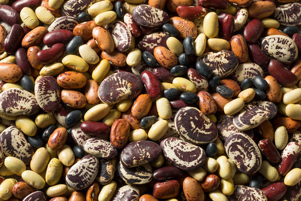 Surové sušené organické fazole sortiment připraven k vaření - Fotografie, Obrázek
