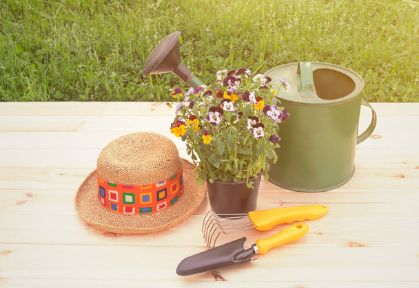 カラフルなパンジーの花の屋外苗、緑の散水缶、わら帽子と園芸用具  - 写真・画像