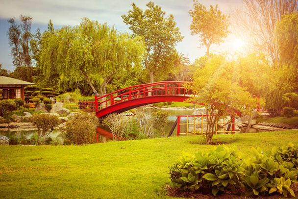 Puente rojo en jardín japonés al atardecer en La Serena, Chile
 - Foto, Imagen