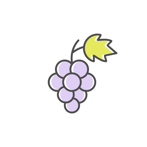 Grape icon. Logo sign for fruits, wine, juice and healthy vegan food vector illustration isolated on white.  - Vector, Image