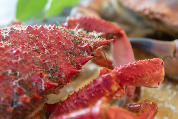 Detail of boiled spiny spider crab - Foto, afbeelding