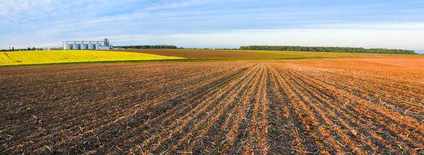 Сельскохозяйственные поля и зернохранилища на горизонте. Панорамное изображение. Рапсовый цветок. Молодые побеги растений прорастают в ряды пахотного Иана
 - Фото, изображение