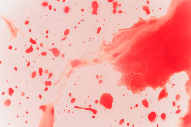 Sangre roja fresca en porcelana blanca con manchas del impacto. Copie el área de espacio para conceptos e ideas temáticos de terror. macro
 - Foto, Imagen