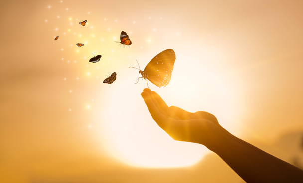Tyttö vapauttaa perhosen hetkestä käsite vapauden - Valokuva, kuva