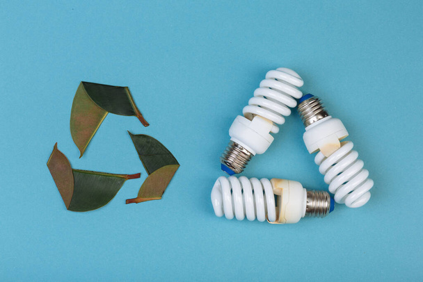 Tre foglie di ficus e tre lampade a risparmio energetico in forma eco-verde riciclo dell'energia isolato sul blu, didascalia per il testo - Foto, immagini