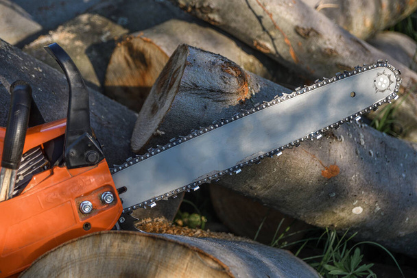 Chainsaw that stands on a heap of firewood in the yard on a background of firewood and trees cut by a chainsaw. - Photo, Image