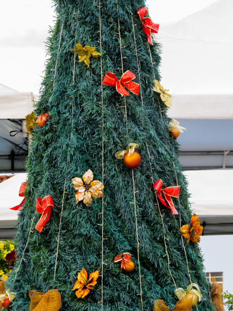 árvore de natal e decorações - Foto, Imagem