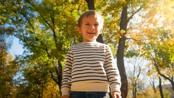 Muotokuva onnellinen hymyilevä poika katselee kameraa syksyllä puistossa
 - Valokuva, kuva