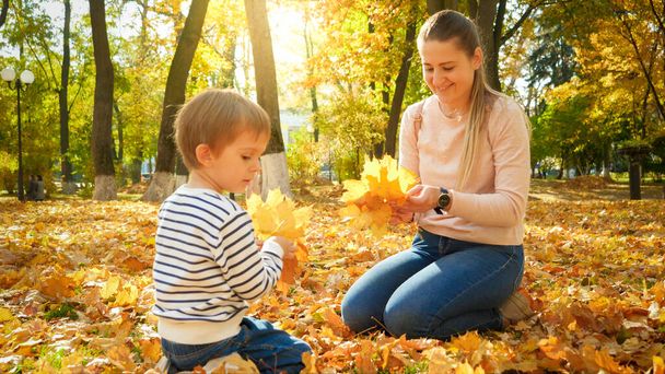 Küçük oğluyla birlikte gülen güzel bir kadının portresi sonbahar parkında düşmüş sarı yaprakları topluyor. - Fotoğraf, Görsel