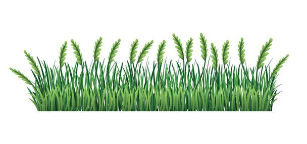 Hranice zelené trávy. Čerstvě zelený bodlák a listy trávy. Izolované na průhledném pozadí. Vektorová ilustrace pro použití jako konstrukční prvek - Vektor, obrázek
