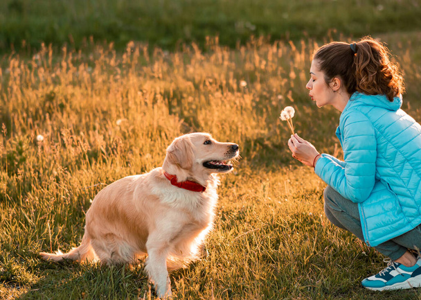 Lovely female girl playing with her dog golden retriever on springtime meadow. Cute dog and his owner blowing dandelion. - Photo, Image