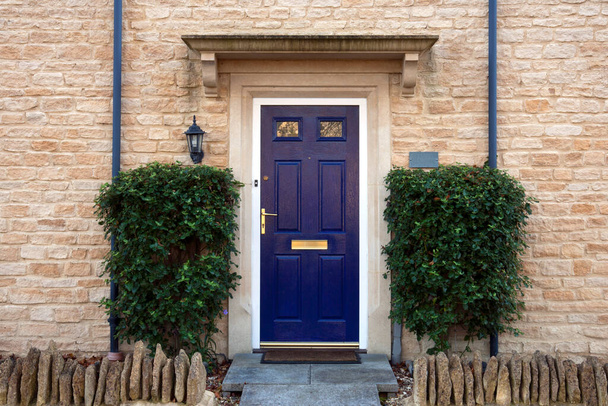 Современная синяя передняя дверь, окруженная кустарниками - Фото, изображение