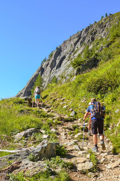 Escursionisti con bastoni da trekking nelle Alpi francesi vicino a Chamonix su un sentiero per Lac Blanc con vista sul Monte Bianco. Bellissimo paesaggio alpino in Francia. Persone con bastoni da passeggio. Alpi in estate. Vacanza attiva
. - Foto, immagini