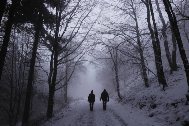 Piękna para spacerująca po niezadbanej leśnej ścieżce w białej ciemności. Dwoje ludzi idzie w nieznane. Ucisk, samotność. Przygnębiające. Góra Prasiva, Beskidy, Europa Wschodnia. - Zdjęcie, obraz