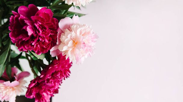 pink flowers. Curly peony ranunculus in Metallic gray watering can,empty space - Fotó, kép