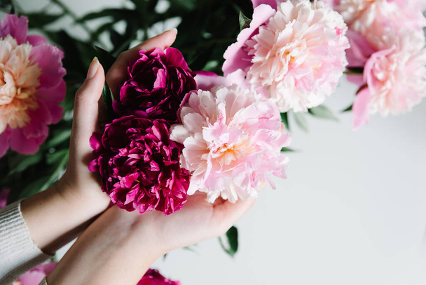 pink persian buttercup flowers in hands. Curly peony ranunculus. Empty spase - Foto, Imagen