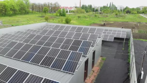 Sun solar panels 4k video power plant from drone. Electricity sustainability of planet. Alternative power plant for business. Renewable green energy. Ecological clean energy. Blue panels on the ground - Footage, Video