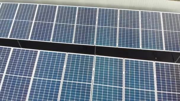 Sun solar panels 4k video power plant from drone. Electricity sustainability of planet. Alternative power plant for business. Renewable green energy. Ecological clean energy. Blue panels on the ground - Footage, Video