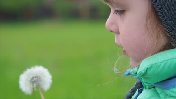 Baby girl blowing on dandelion, close-up view - Záběry, video