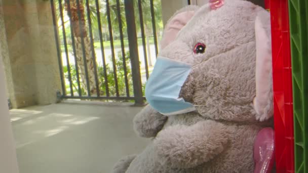 Elephant stuffed animal wearing face mask while sitting by window - Filmagem, Vídeo