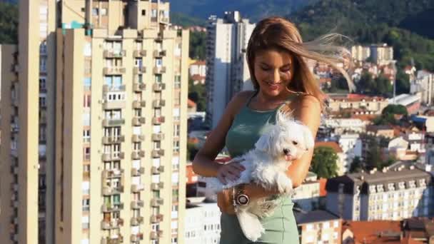 Mooie jonge vrouw houden en aaien een kleine witte Maltese hond - Video