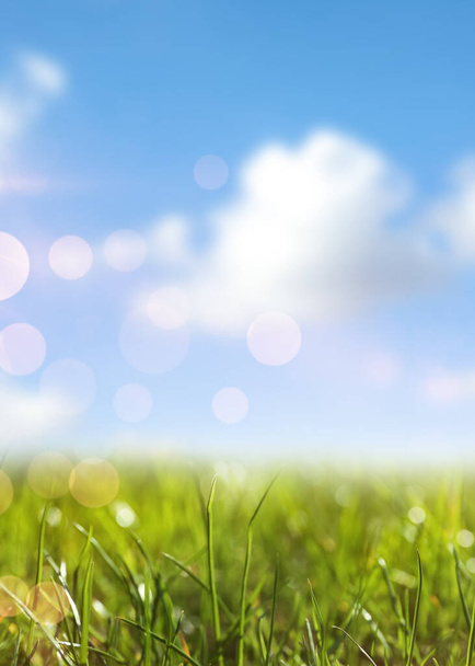 Green grass and blue sky on sunny day - Photo, Image